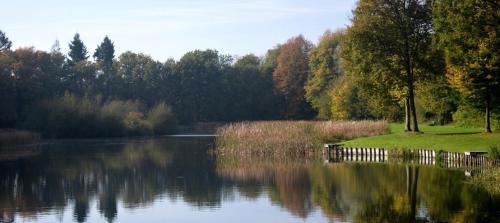 Naturlandschaft in der Nähe der Ferienwohnung