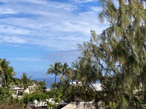 una vista di una spiaggia con palme e l'oceano di Les Emeraudes a Saint-Gilles-les Bains