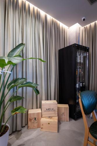 a room with a tv and a plant and boxes at Hotel Dior in Krujë