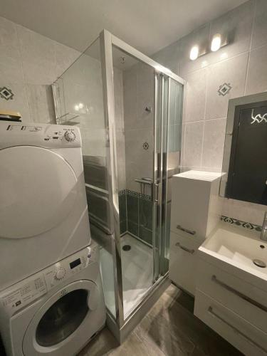 une salle de bain avec douche et machine à laver dans l'établissement Charming and Cosy Apartment near Paris, à Houilles