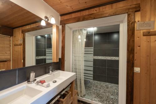 科尔顿La Charbonnière的带水槽和淋浴的浴室