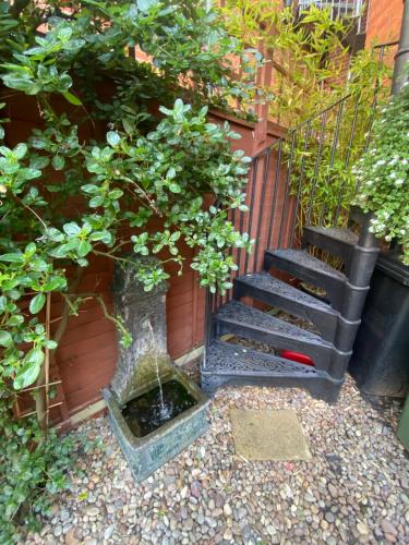 a staircase with a tree and a red frisbee at Deluxe Three Bed BnB in Henley-on-Thames near Station River & Town Centre in Henley on Thames