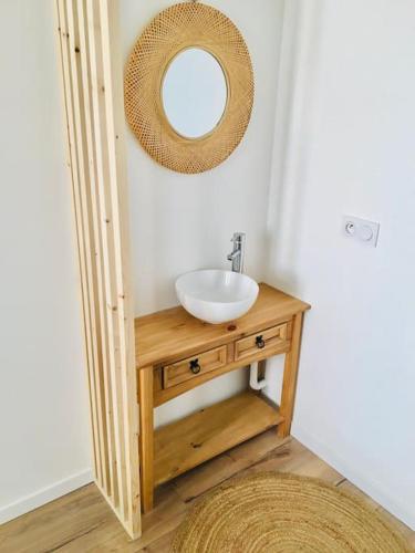 une salle de bain avec un lavabo et un miroir dans l'établissement Le Dupont, 2 chambres & Parking privé, à Grenoble