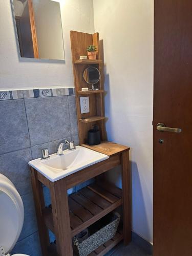 a bathroom with a sink and a mirror at Huet Huet in Villa La Angostura