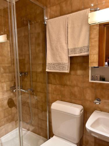 a bathroom with a shower and a toilet and a sink at Buffet de la gare Courtelary in Courtelary
