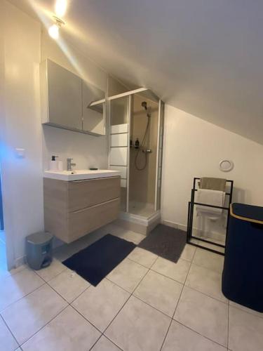La salle de bains est pourvue d'un lavabo et d'une douche. dans l'établissement Appartement morangis, à Savigny-sur-Orge