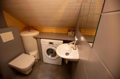 La petite salle de bains est pourvue d'un lavabo et d'un lave-linge. dans l'établissement Les Barrats - Duplex - Central - Vue Mont-Blanc, à Chamonix-Mont-Blanc