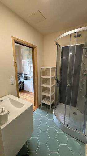 a bathroom with a shower and a sink at T2 cocon avec balcon et parking in La Roche-sur-Foron