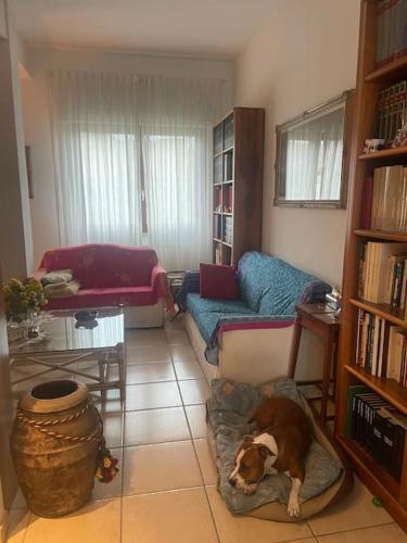 einen Hund, der auf einem Kissen im Wohnzimmer liegt in der Unterkunft Appartamento super comfort alle terme! in Chianciano Terme