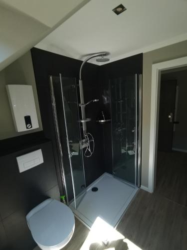 a bathroom with a shower and a toilet at Wohnung Loggia 2 in Rurberg