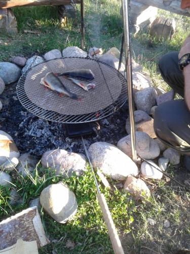 Φωτογραφία από το άλμπουμ του Farmhaus στο Sveg