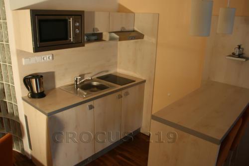 a small kitchen with a sink and a microwave at Apartmán Štrbské Pleso - Crocus 219 in Štrbské Pleso