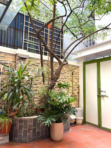 a courtyard with plants in front of a building at Peaceful house in Hanoi