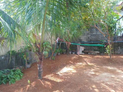 a garden with a hammock between two palm trees at Mihinsa Guest in Kosgoda