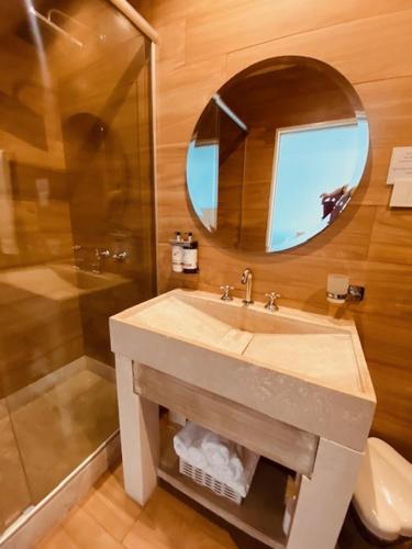 a bathroom with a sink and a shower and a mirror at Tigre Urban Suites in Tigre