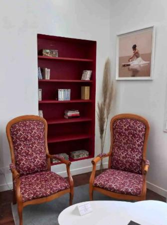 - deux chaises dans un salon avec une étagère dans l'établissement T2 coeur de ville, wifi, netflix, à Agen