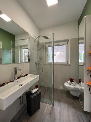 Un baño con lavabo, ducha e inodoro. en Villa Renè, en Tenno