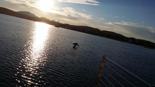a person on a paddle board in a body of water at Hotel Tabby in Golfo Aranci