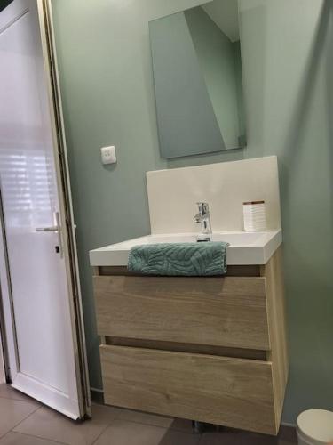 a bathroom with a sink and a mirror at O Bel Haybois Dormant " Le Cerf " in Haybes
