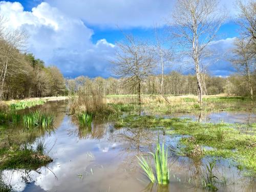 a pond in a field with trees and clouds in the sky at Les Hayes en Sologne in Fontaines-en-Sologne