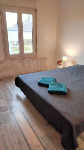 une chambre avec un lit avec deux oreillers verts dessus dans l'établissement Chez Chriss, à Bourges