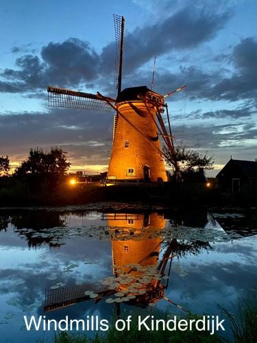 a windmill with its reflection in the water at B&B Cosy Garden in Alblasserdam