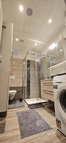 un bagno con doccia e lavatrice di Apartman Ana Maris a Fiume (Rijeka)