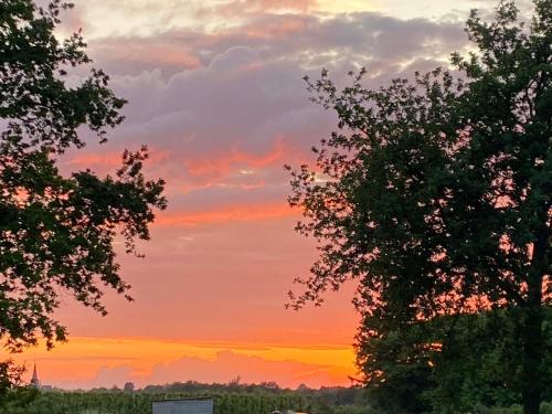 a sunset seen between two trees in a field at Vida Verde in Valkenburg