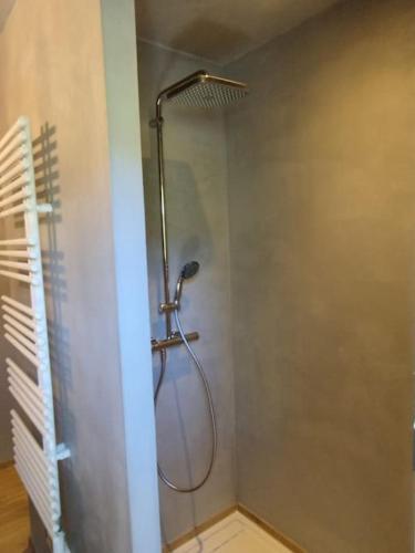 La salle de bains est pourvue d'une cabine de douche avec un pommeau de douche. dans l'établissement la cabane de Maud, à Brison-Saint-Innocent