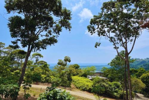 a view of a forest with trees and a house at Casa Kabuae in Portalón
