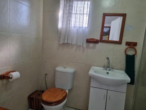 a bathroom with a toilet and a sink and a mirror at Airport Inn Bed and Breakfast in Kempton Park