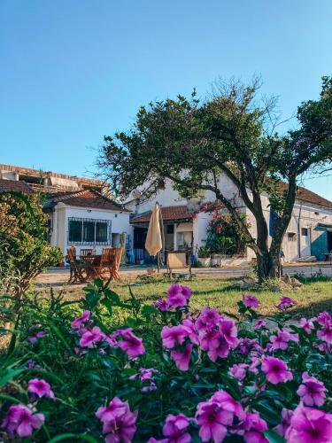 a garden with pink flowers in front of a house at Montijo Garden - Alojamento Rural in Montijo