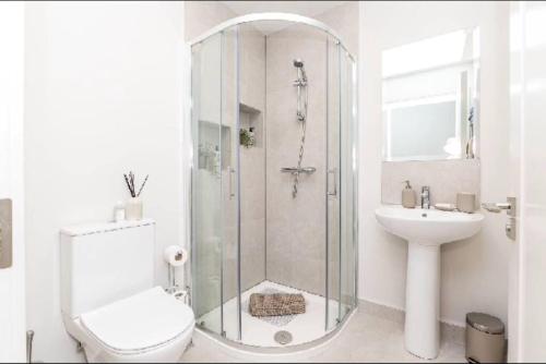 a bathroom with a shower and a toilet and a sink at New Three Bedroom Apt Ashbourne in Ashbourne