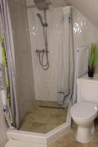 a bathroom with a shower and a toilet at Szalakóta Apartman in Hortobágy