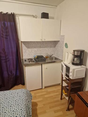 une petite cuisine avec un évier et un micro-ondes dans l'établissement appartement une chambre Champigny-sur-Marne, à Nogent-sur-Marne