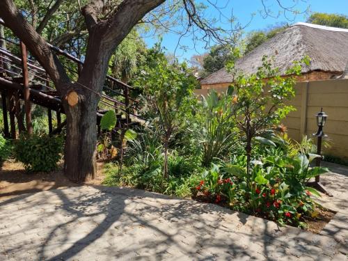 a garden with a tree and some flowers at Airport Inn Bed and Breakfast in Kempton Park