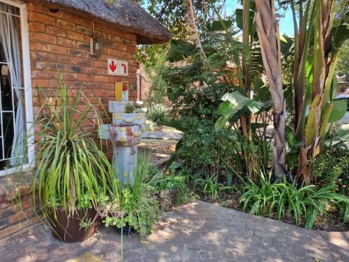 a garden with plants in front of a house at Airport Inn Bed and Breakfast in Kempton Park