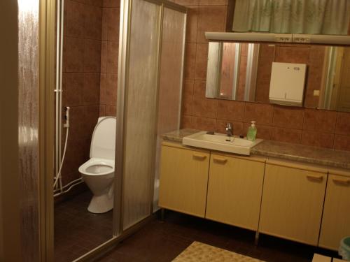 a bathroom with a toilet and a sink and a mirror at Koirasalmen Luontotupa in Kivijärvi