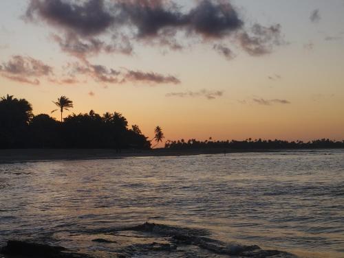 a sunset on a beach with trees in the background at Pousada Horizonte in Ilha de Boipeba