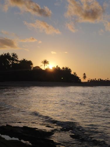 a sunset over a body of water with trees at Pousada Horizonte in Ilha de Boipeba