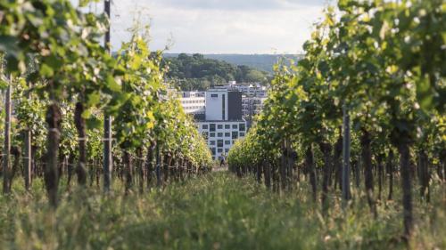 a row of trees in front of a city at Holiday Inn - the niu, Form Stuttgart Feuerbach by IHG in Stuttgart