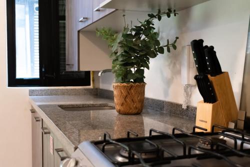 a kitchen counter with a potted plant on top of a stove at Nuevo y moderno Departamento en zona de Santa Fe in Mexico City
