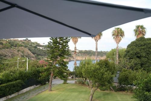 a view from the porch of a house with palm trees at Il Carrubo in Procida