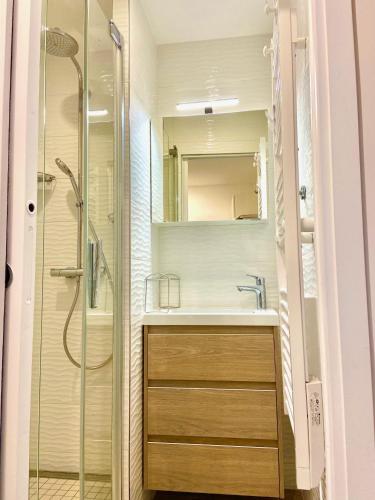 une salle de bain avec un lavabo et une douche dans l'établissement Appartement Cosy entre le Bon Marché et Saint Germain Paris 7, à Paris