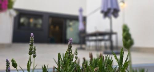 Albayda Garden