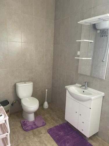 a bathroom with a toilet and a sink at Villa Vicente Casa Soares in Vila Nova Sintra