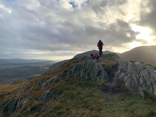 a person standing on top of a mountain with a dog at Red Dragon Cottages nr Mt Snowdon in Beddgelert