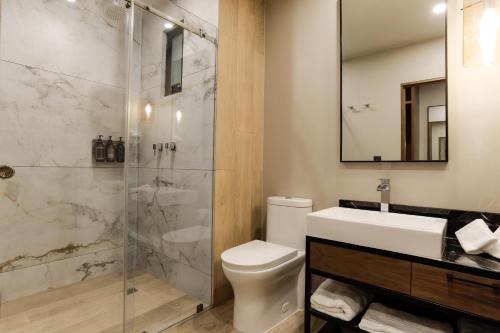 a bathroom with a shower and a toilet and a sink at Punta Alameda in Mexico City