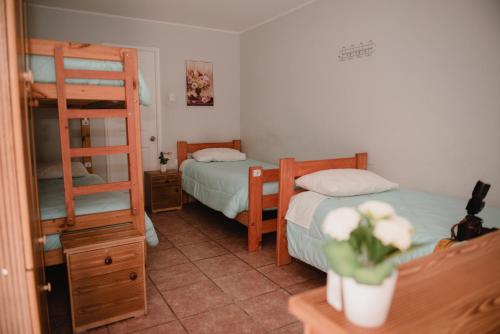 a room with two bunk beds and a table with a plant at Hostal Tierra Amarilla in Tierra Amarilla