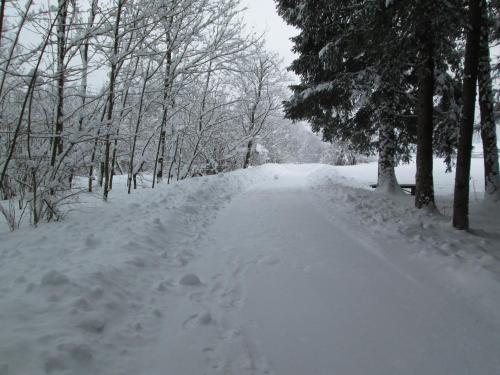a snow covered road with footprints in the snow at B&B Leonardi in Monclassico